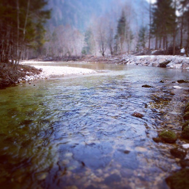 River Radovna, Slovenia, in March